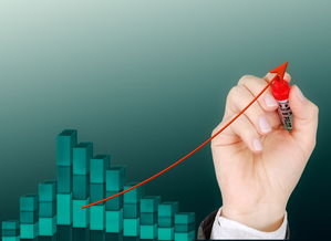 开云体育官方入口-体育公益项目影响力持续扩大，体育公益组织