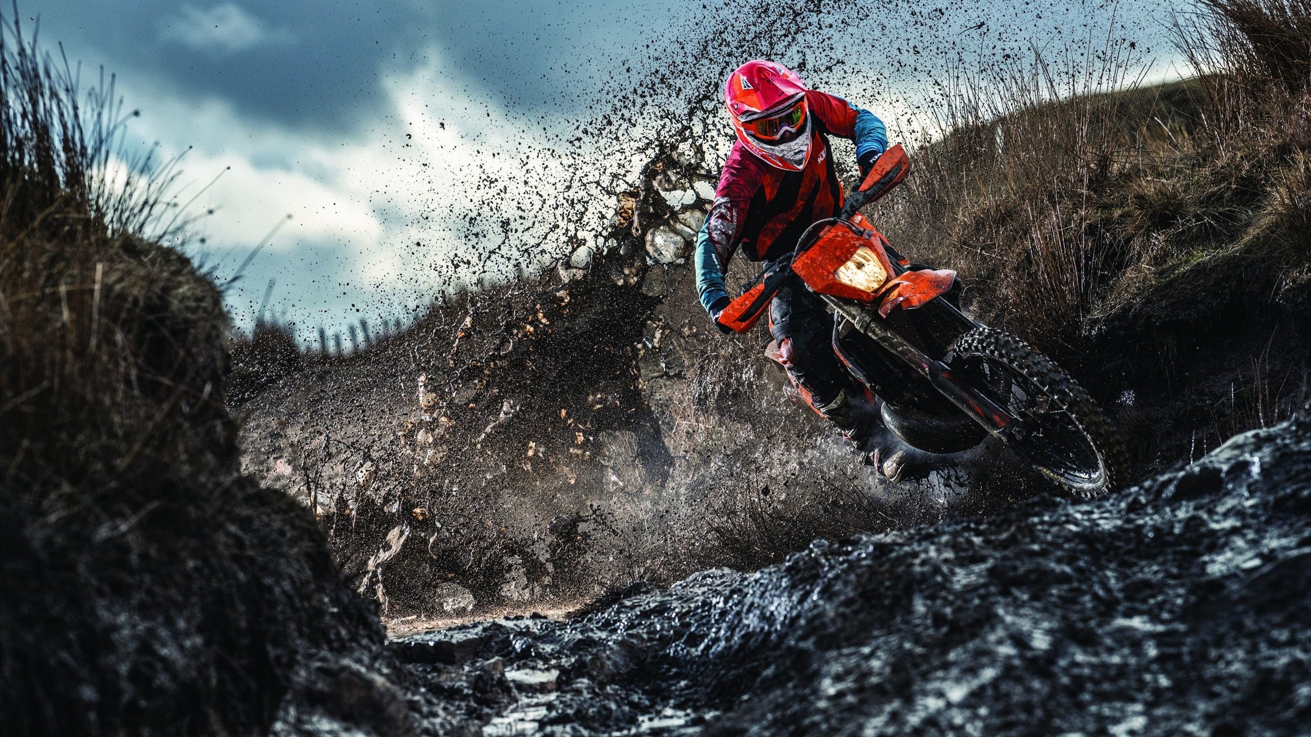 开云体育官方网站登陆-陈芋汐决赛夺冠背后的努力故事，陈芋汐赛后采访哭了视频